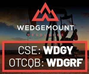 Wedgemount Resources Corp.